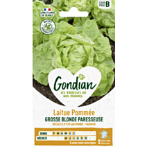 Laitue Grosse Blonde Paresseuse - GONDIAN