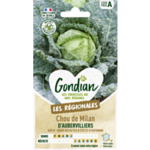 Chou de Milan d'Aubervilliers - GONDIAN