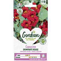 Capucine Lobb Spit Fire - GONDIAN