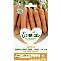 Carotte Nantaise Améliorée 3 race Tam Tam - GONDIAN