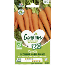 Carotte de Colmar à Cœur Rouge 2 Bio - GONDIAN