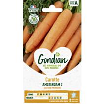Carotte Amsterdam - GONDIAN