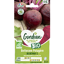Betterave potagère de Détroit 2 Bio - GONDIAN