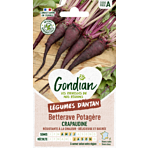 Betterave potagère Crapaudine - GONDIAN