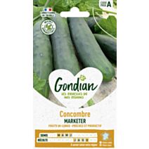 Concombre Marketer - GONDIAN