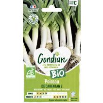 Poireau de Carentan 2 Bio - GONDIAN