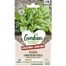 Oseille Large de Belleville - GONDIAN