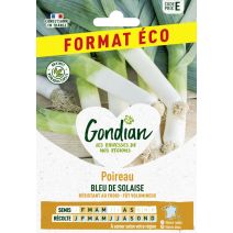 Poireau Bleu de Solaise - GONDIAN