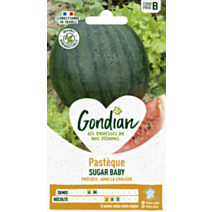 Pastèque Sugar Baby - GONDIAN