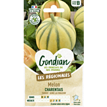 Melon Charentais - GONDIAN