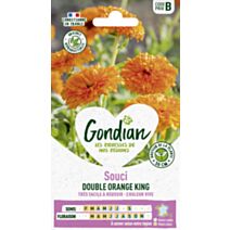 Souci Double Orange King - GONDIAN