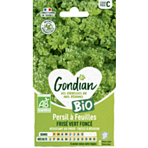 Persil à feuilles Frisé Vert Foncé Bio - GONDIAN