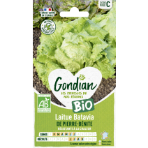Laitue de Pierre Bénite Bio - GONDIAN