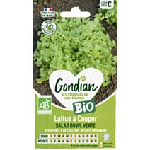 Laitue Salad Bowl Verte Bio - GONDIAN