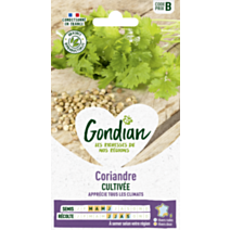 Coriandre Cultivée - GONDIAN