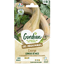 Courge Musquée de Nice à Fruits Longs - GONDIAN