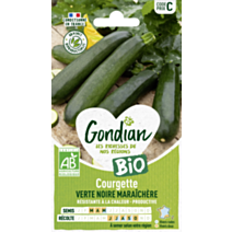 Courgette Verte Noire Maraîchère Bio - GONDIAN