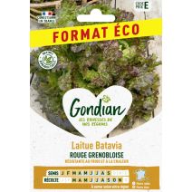 Laitue Rouge Grenobloise - GONDIAN