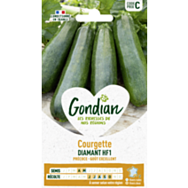 Courgette Diamant HF1 - GONDIAN