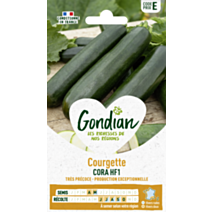 Courgette Cora HF1 - GONDIAN
