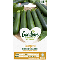 Courgette Storr's Green HF1 - GONDIAN