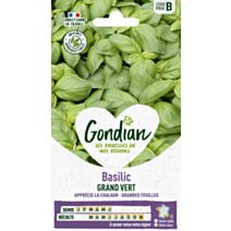 Basilic Grand Vert - GONDIAN