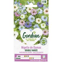 Nigelle de Damas Double Variée - GONDIAN