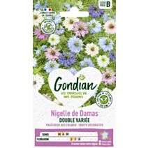 Nigelle de Damas Double Variée - GONDIAN