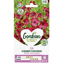 Lin de Venise - GONDIAN