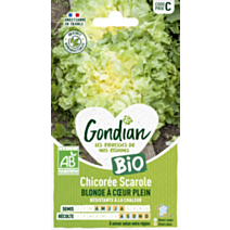 Chicorée Blonde à Cœur Plein Bio - GONDIAN