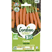 Carotte Touchon Bio - GONDIAN