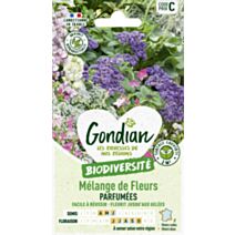 Mélange de fleurs Fleurs Parfumées - GONDIAN