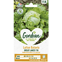Laitue Great Lakes 118 - GONDIAN