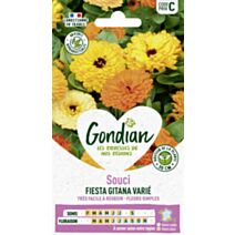 Souci Nain Double Fiesta Gitana - GONDIAN