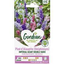 Pied d'Alouette Impérial Géant Double Varié - GONDIAN