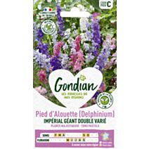 Pied d'Alouette Impérial Géant Double Varié - GONDIAN