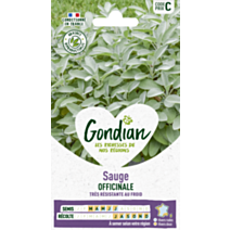 Sauge Officinale - GONDIAN