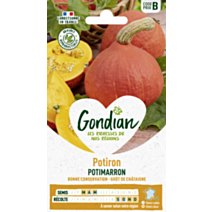 Potiron Potimarron - GONDIAN