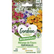 Mélange de fleurs Fleurs Vivaces pour Rocaille - GONDIAN