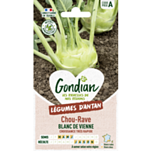 Chou-Rave Blanc Hâtif de Vienne - GONDIAN