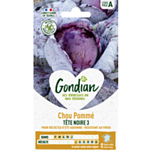 Chou Pommé Rouge Tête Noire 3 - GONDIAN