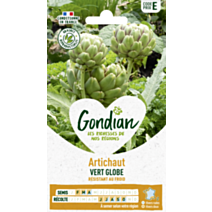 Artichaut Vert Globe - GONDIAN