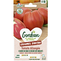 Tomate Cuor di Bue (Cœur de Bœuf) - GONDIAN