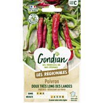 Piment Doux Très Long des Landes - GONDIAN