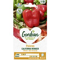 Piment Yolo Wonder - GONDIAN