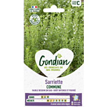 Sarriette Commune - GONDIAN