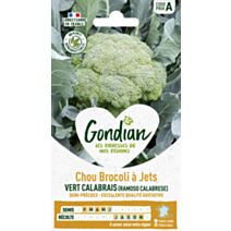 Chou Brocoli Vert Calabrais - GONDIAN