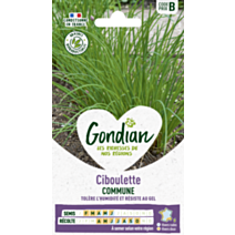 Ciboulette Très Fine Danoise - GONDIAN