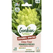 Chou-Fleur Romanesco Natalino - GONDIAN