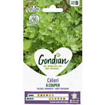 Céleri à Couper - GONDIAN